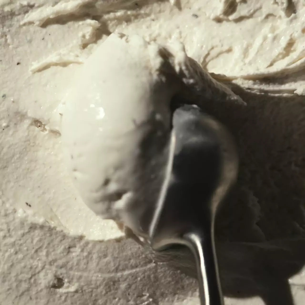 Vanilla Bean (6 pints) - Simple Pick